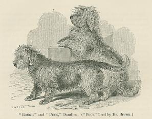 Tss L. Wellsin tyss on ikuistettuna kaksi dandia "Rough" ja "Puck". Ty on vuodelta 1859.